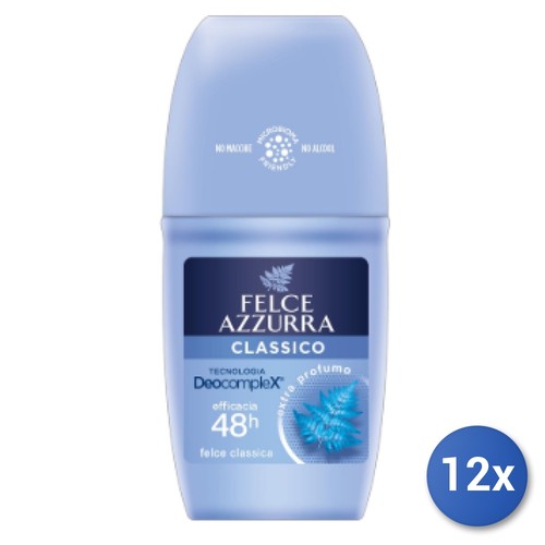 12x bundle felce azzurra - felce,