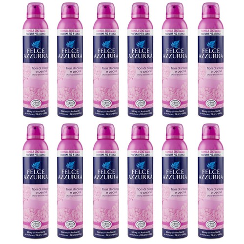 12pz felce azzurra aria - felce,