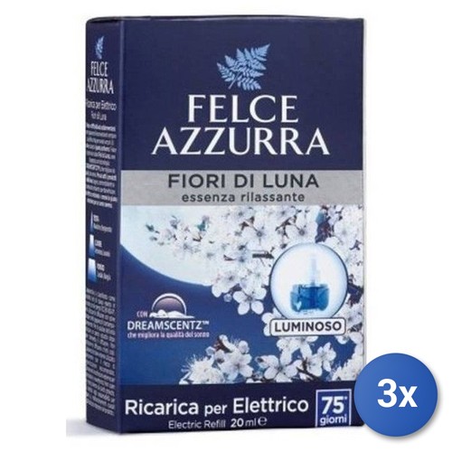 Felce azzurra spina casa - felce,