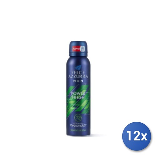 12x bundle felce azzurra - 12x,